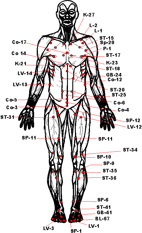 Kung Fu Pressure Points Chart